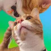 ヒメ日記 2026/02/15 19:20 投稿 ♡ひなの先生♡ 梅田ムチぽよ女学院