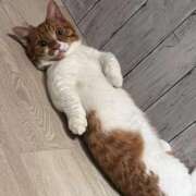 ヒメ日記 2026/02/20 10:20 投稿 ♡ひなの先生♡ 梅田ムチぽよ女学院