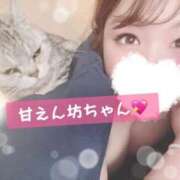 ヒメ日記 2026/02/22 11:00 投稿 ♡ひなの先生♡ 梅田ムチぽよ女学院