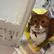 ヒメ日記 2026/02/23 15:30 投稿 ♡ひなの先生♡ 梅田ムチぽよ女学院