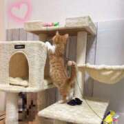 ヒメ日記 2026/03/04 08:49 投稿 ♡ひなの先生♡ 梅田ムチぽよ女学院