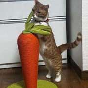 ヒメ日記 2026/03/12 17:20 投稿 ♡ひなの先生♡ 梅田ムチぽよ女学院