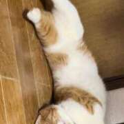 ヒメ日記 2026/03/12 21:50 投稿 ♡ひなの先生♡ 梅田ムチぽよ女学院