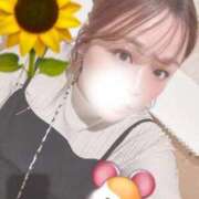 ヒメ日記 2026/03/17 17:10 投稿 ♡ひなの先生♡ 梅田ムチぽよ女学院