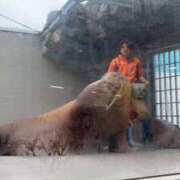 ヒメ日記 2026/03/18 22:30 投稿 ♡ひなの先生♡ 梅田ムチぽよ女学院