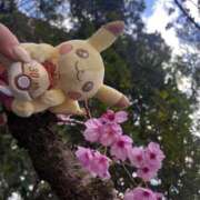 ヒメ日記 2026/03/21 10:50 投稿 ♡ひなの先生♡ 梅田ムチぽよ女学院