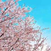 ヒメ日記 2026/03/28 09:00 投稿 ♡ひなの先生♡ 梅田ムチぽよ女学院