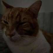 ヒメ日記 2026/03/30 10:50 投稿 ♡ひなの先生♡ 梅田ムチぽよ女学院