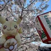 ヒメ日記 2026/04/03 12:50 投稿 ♡ひなの先生♡ 梅田ムチぽよ女学院