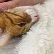 ヒメ日記 2026/04/03 14:20 投稿 ♡ひなの先生♡ 梅田ムチぽよ女学院