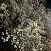 ヒメ日記 2026/04/06 07:50 投稿 ♡ひなの先生♡ 梅田ムチぽよ女学院