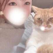 ヒメ日記 2026/04/09 01:43 投稿 ♡ひなの先生♡ 梅田ムチぽよ女学院