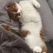 ヒメ日記 2026/04/21 01:30 投稿 ♡ひなの先生♡ 梅田ムチぽよ女学院