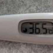 ヒメ日記 2025/01/27 19:18 投稿 Nozomi LovingTouch（ラビングタッチ）