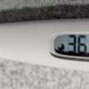 ヒメ日記 2025/02/04 19:08 投稿 Nozomi LovingTouch（ラビングタッチ）