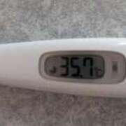 ヒメ日記 2025/03/29 19:08 投稿 Nozomi LovingTouch（ラビングタッチ）