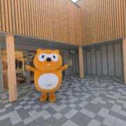 ヒメ日記 2025/03/29 20:48 投稿 Nozomi LovingTouch（ラビングタッチ）