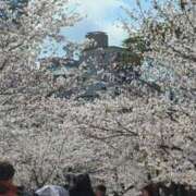 ヒメ日記 2025/04/04 20:48 投稿 Nozomi LovingTouch（ラビングタッチ）