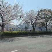 ヒメ日記 2025/04/06 20:38 投稿 Nozomi LovingTouch（ラビングタッチ）