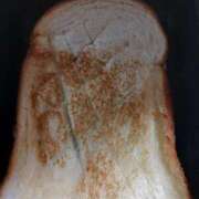 ヒメ日記 2025/04/17 20:48 投稿 Nozomi LovingTouch（ラビングタッチ）