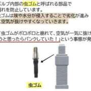 ヒメ日記 2025/04/21 20:38 投稿 Nozomi LovingTouch（ラビングタッチ）