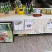 ヒメ日記 2025/05/04 20:41 投稿 Nozomi LovingTouch（ラビングタッチ）