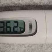 ヒメ日記 2025/06/04 19:08 投稿 Nozomi LovingTouch（ラビングタッチ）