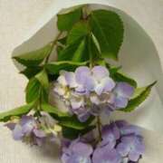 ヒメ日記 2025/06/07 20:48 投稿 Nozomi LovingTouch（ラビングタッチ）