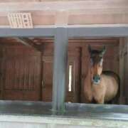 ヒメ日記 2025/06/29 00:10 投稿 Nozomi LovingTouch（ラビングタッチ）