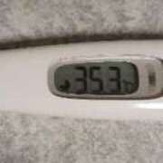 ヒメ日記 2025/08/11 19:18 投稿 Nozomi LovingTouch（ラビングタッチ）