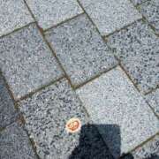 ヒメ日記 2025/08/29 20:38 投稿 Nozomi LovingTouch（ラビングタッチ）