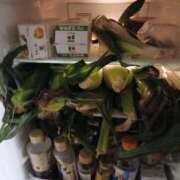 ヒメ日記 2025/08/30 20:38 投稿 Nozomi LovingTouch（ラビングタッチ）