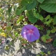 ヒメ日記 2025/10/23 20:48 投稿 Nozomi LovingTouch（ラビングタッチ）