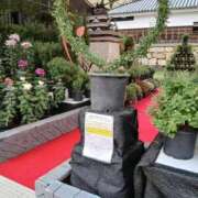 ヒメ日記 2025/10/25 20:47 投稿 Nozomi LovingTouch（ラビングタッチ）