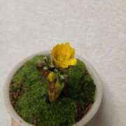 ヒメ日記 2026/02/06 20:48 投稿 Nozomi LovingTouch（ラビングタッチ）