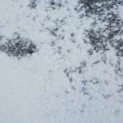 ヒメ日記 2026/02/08 20:48 投稿 Nozomi LovingTouch（ラビングタッチ）