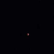 ヒメ日記 2026/03/03 21:08 投稿 Nozomi LovingTouch（ラビングタッチ）