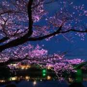ヒメ日記 2026/04/02 18:18 投稿 Nozomi LovingTouch（ラビングタッチ）