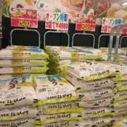 ヒメ日記 2026/04/05 17:08 投稿 Nozomi LovingTouch（ラビングタッチ）