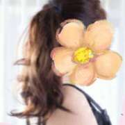 ヒメ日記 2025/04/29 10:49 投稿 今井夫人 博多人妻城