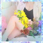 ヒメ日記 2025/05/15 15:55 投稿 もえ バイオレンス