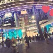 ヒメ日記 2024/12/24 14:35 投稿 てんり プールサイド