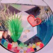 ヒメ日記 2025/04/01 12:19 投稿 てんり プールサイド