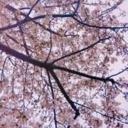 ヒメ日記 2025/04/02 13:28 投稿 てんり プールサイド