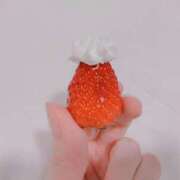 ヒメ日記 2025/04/15 11:11 投稿 てんり プールサイド