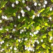 ヒメ日記 2025/04/22 11:14 投稿 てんり プールサイド