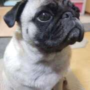 ヒメ日記 2025/05/01 23:59 投稿 てんり プールサイド