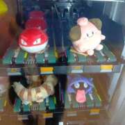 ヒメ日記 2025/05/06 11:10 投稿 てんり プールサイド