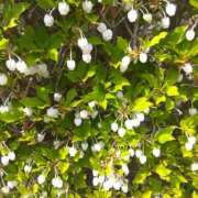 ヒメ日記 2026/03/01 11:19 投稿 てんり プールサイド