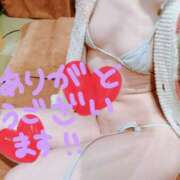 ヒメ日記 2026/04/04 12:34 投稿 てんり プールサイド